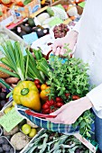 Frisches Gemüse vom Markt in karierter Einkaufstasche