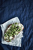 Crostini topped with broad beans