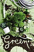 Gartenschlauch, verschiedene Grünpflanzen und Blumenerde mit Schriftzug 'Green'