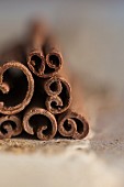 Cinnamon sticks (close up)