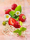 Erdbeeren mit Blüten