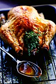 Chicken with thyme and roasting juices