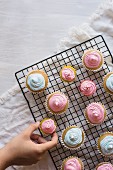 Cupcakes with pink and blue icing on a wire rack