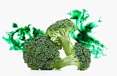 Brokkoli Stiele mit grünen Farb-Effekten