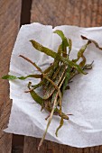Deep-fried sage leaves
