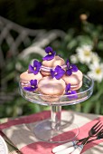 Macaroons with violets on a garden table