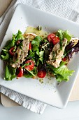 Bruschetta mit Sardinen und Salat