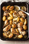 Oven-baked chicken bits with potatoes, lemons and white wine
