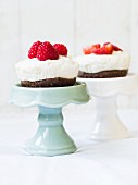 Vegan mini cheesecakes with cashew nuts, coconut cream, dates and berries