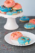 Donuts mit rosa und blauem Zuckerguss und Zuckerstreuseln