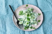 Cucumber salad with a yoghurt dressing and chervil