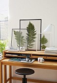 Fern leaves in clear foil or between panes of glass with masking tape frames