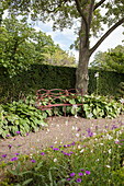 Curved metal bench on path in front of clipped hedge