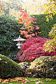 Herbstlicher Garten im asiatischen Stil