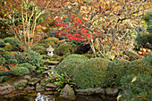 Herbstlicher Garten im asiatischen Stil
