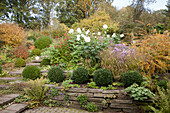 Herbstlicher Staudengarten mit Buchsbaumkugeln und Steinmauer