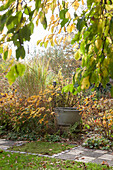 Paved path leading through autumnal herbaceous borders in garden