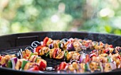Shish kebabs on a barbecue