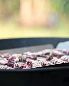 Marinated squid on a barbecue