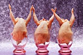 Quails in glasses against a purple background