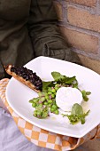 Goat's cheese with olives and grilled bread on a plate