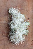 Alfalfa sprouts on a wooden surface