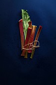 Chopped rhubarb stalks tied together