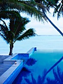 View over infinity pool to the sea (Rarotonga, Cook Islands, South Pacific)