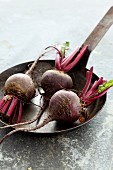 Beetroot in a rusty pan