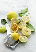 Zitronenhälften mit Zitronenpresse auf Marmortisch
