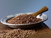Brown lentils on a metal plate on a wooden table