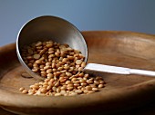 Yellow split peas on a ladle