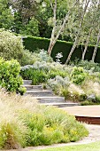 Wooden stairs on a slope overgrown with bushes and ornamental grasses in the garden