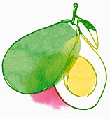 An illustration of a sliced avocado