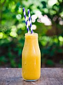 A yellow mango and pineapple smoothie in a bottle on a garden table