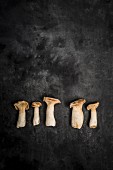 King trumpet mushrooms on a grey surface
