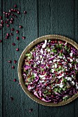 Red cabbage salad with feta cheese, parsley and pomegranate seeds