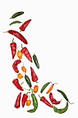 Various chilli peppers on a white surface