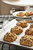 Cookies on a baking tray