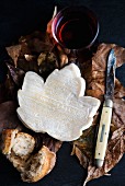 French goat's cheese shaped like a maple leaf surrounded by autumnal leaves with a pocket knife, a piece of baguette and a glass of red wine