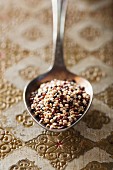 Colorful quinoa on a spoon