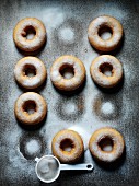 Doughnuts dusted with icing sugar