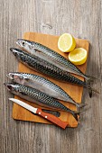 Mackerel on a wooden board with a knife and a halved lemon