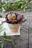 Chocolate cake with apple in an earthenware pot with a sprig of mistletoe on a piece of sheet music