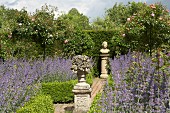 Sculptures on stone plinths on garden path amongst beds of lavender, box hedges and standard roses