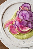 Sliced radiches with avocado and tomatillo sauce