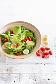 Green salad with cocktail tomatoes and hard-boiled eggs