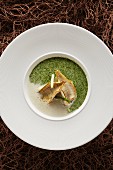 Foamy watercress soup with fried Lake Constance whitefish fillets and asparagus tips