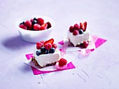 Ice-cream and berry slice