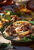 Pasta with porcini mushrooms and chanterelle mushrooms